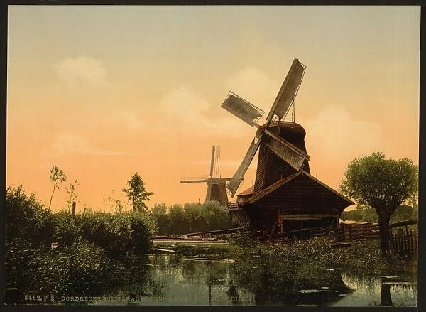 Windmills on the Noordendijk, Dordrecht, Holland