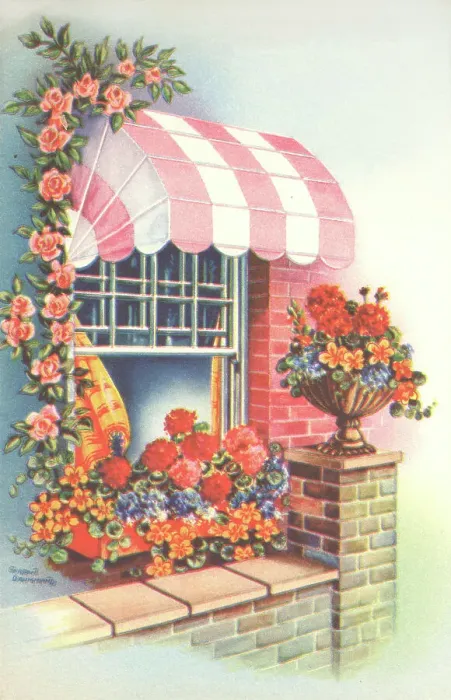Framed Print : Window Floral Display