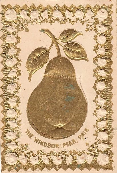 Windsor pear in gold and cream on a greetings card