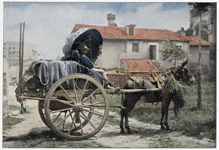 Framed Print : A wine cart in the outskirts of Rome. Date: 1890s Framed Print : A wine cart in the outskirts of Rome. Date: 1890s