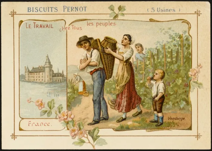 Framed Print : Wine, France Framed Print : Wine, France