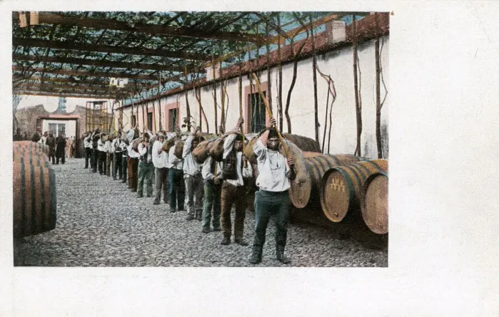 Framed Print : Wine production, Madeira Framed Print : Wine production, Madeira