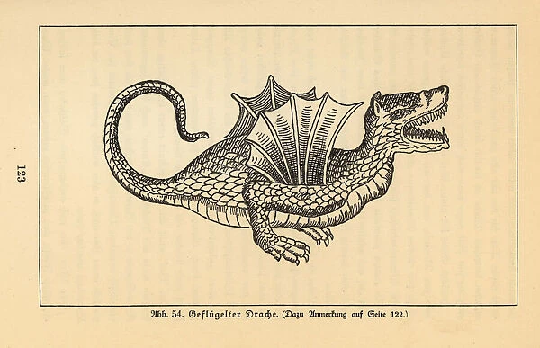 Winged dragon, mythological creature. Illustration