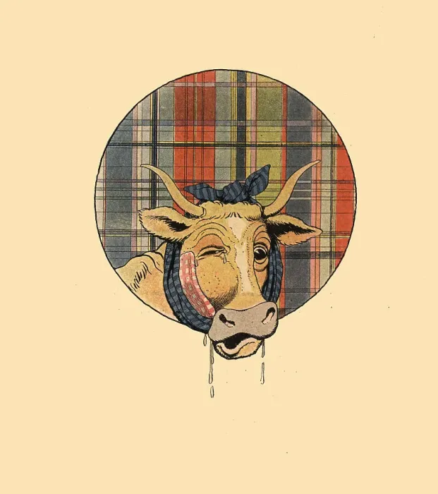 Framed Print : Winking Cow Framed Print : Winking Cow