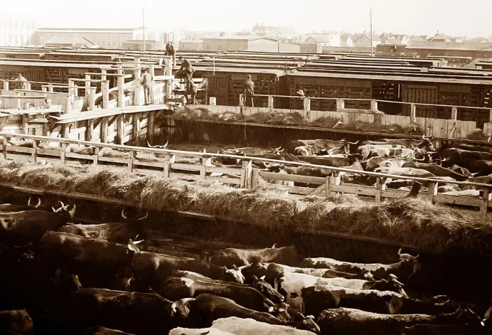Framed Print : Winnepeg Stock Yards, Canada Framed Print : Winnepeg Stock Yards, Canada