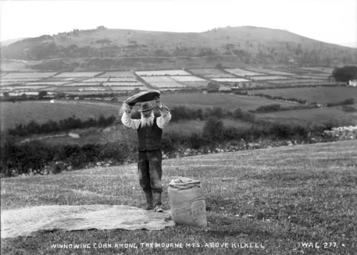 Framed Print : Winnowing Corn Amongst the Mourne Mountains Above Kilkeel Framed Print : Winnowing Corn Amongst the Mourne Mountains Above Kilkeel