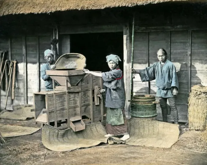 Framed Print : Winnowing rice, Japan Framed Print : Winnowing rice, Japan