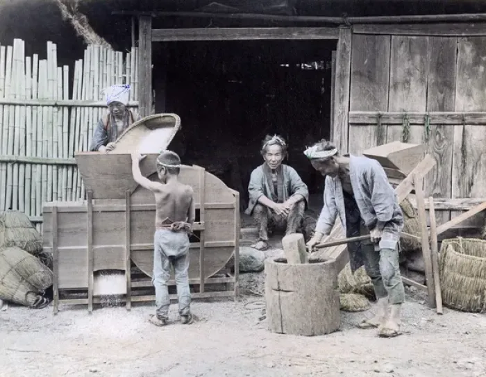 Framed Print : Winnowing rice, Japan, circa 1880s Framed Print : Winnowing rice, Japan, circa 1880s