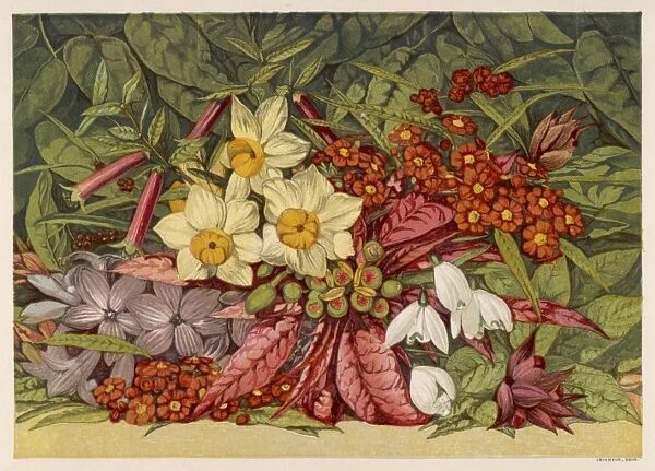 Winter Flowers 1866