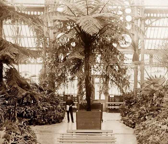 Framed Print : Winter Gardens Conservatory, Southport, Victorian period Framed Print : Winter Gardens Conservatory, Southport, Victorian period