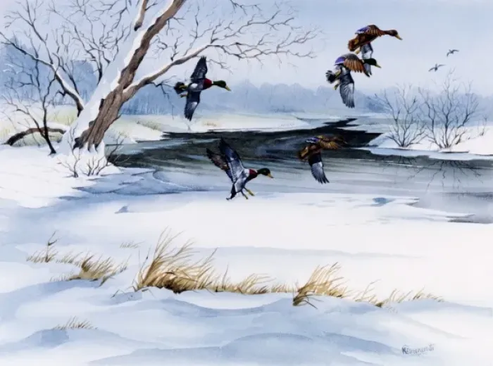 Framed Print : Winter landscape with snow and flying ducks Framed Print : Winter landscape with snow and flying ducks