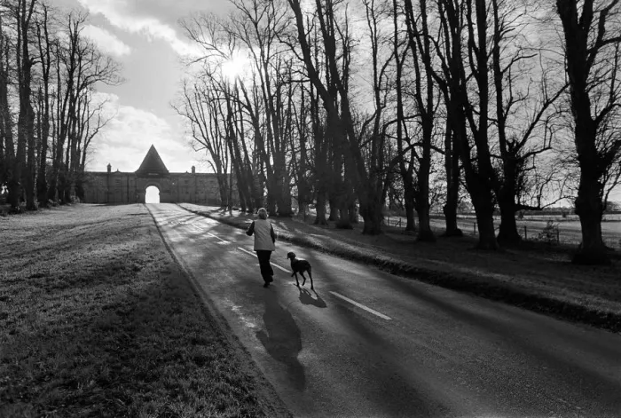 Framed Print : Winter light, Castle Howard, Yorks Framed Print : Winter light, Castle Howard, Yorks