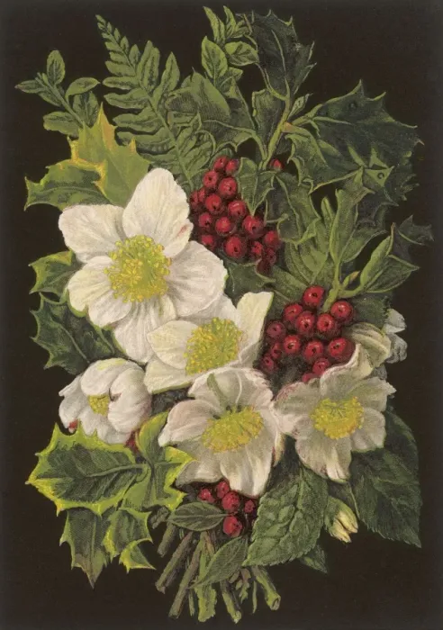 Framed Print : Winter Plants 1880 Framed Print : Winter Plants 1880