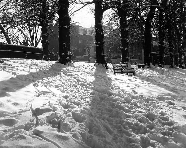 A winter scene on Hampstead Heath, London, with the sun shining on tracks in the snow