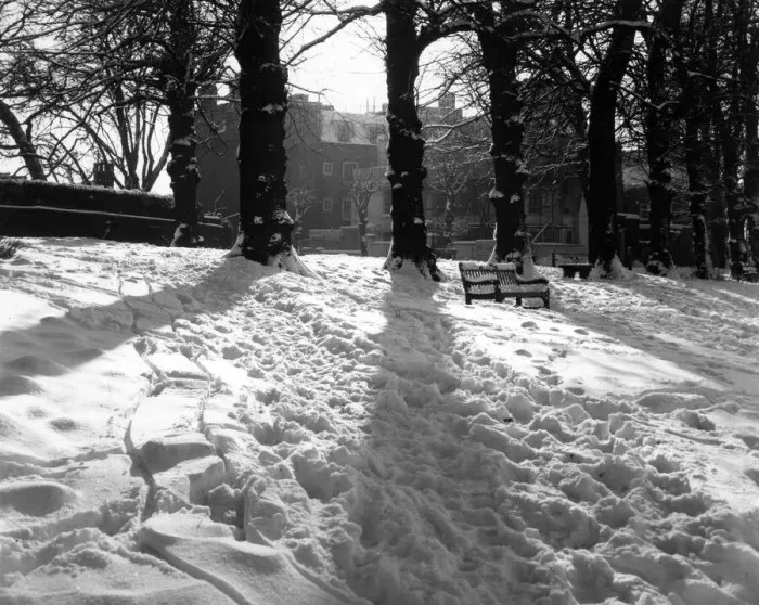 Framed Print : A winter scene on Hampstead Heath, London, with the sun shining on tracks in the snow Framed Print : A winter scene on Hampstead Heath, London, with the sun shining on tracks in the snow