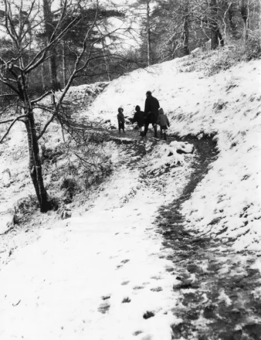 Framed Print : Winter Walkers Framed Print : Winter Walkers