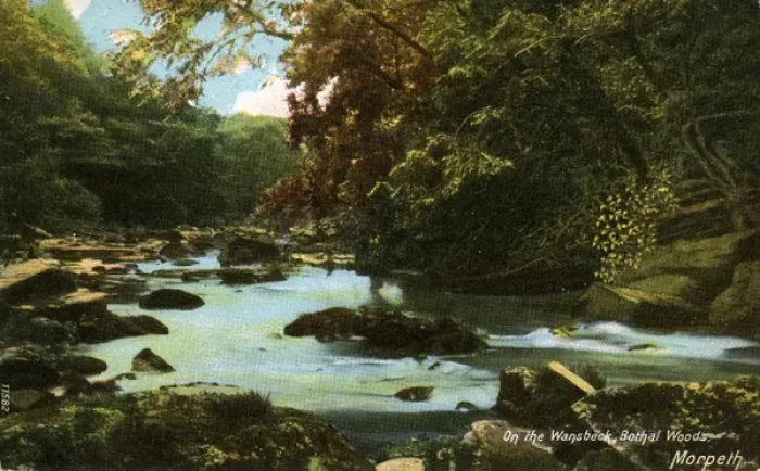 Framed Print : On the Wisbeck, Bothal Woods, Northumberland