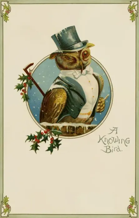 Framed Print : A wise owl Framed Print : A wise owl
