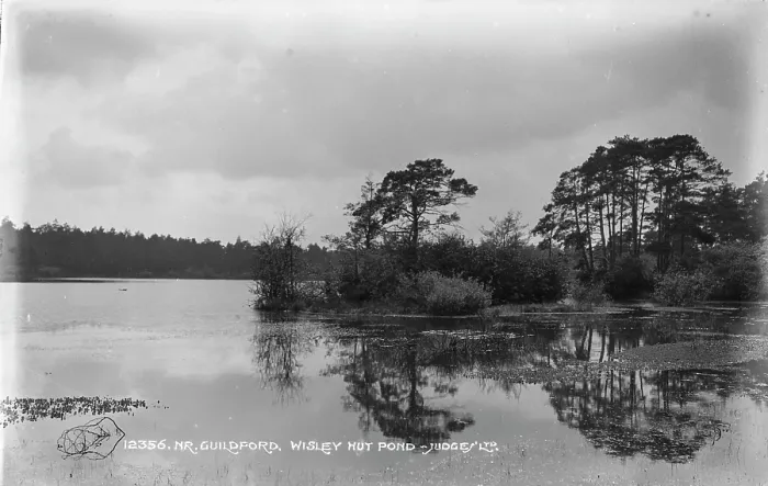 Framed Print : Wisley Hut Pond Framed Print : Wisley Hut Pond