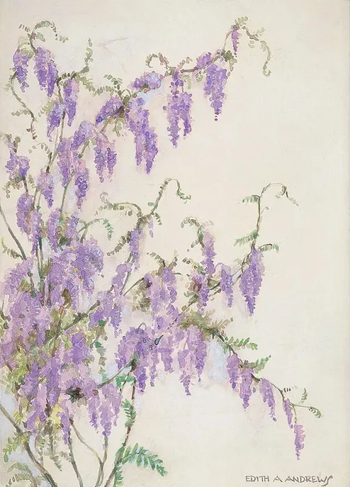 Framed Print : Wisteria - Gardens Framed Print : Wisteria - Gardens