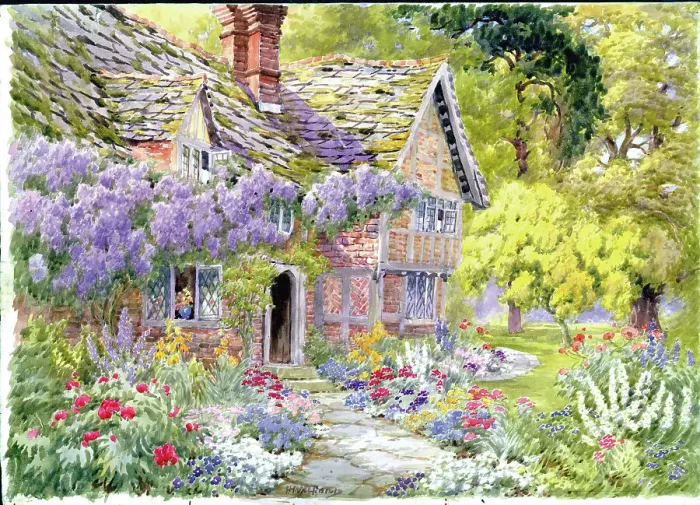 Framed Print : Wisteria time Framed Print : Wisteria time