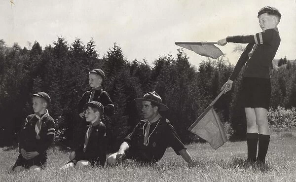 Wolf cubs doing a semaphore test, Canada