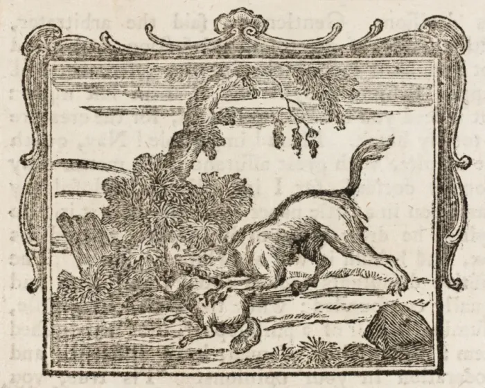 Framed Print : The Wolf & the Lamb Framed Print : The Wolf & the Lamb