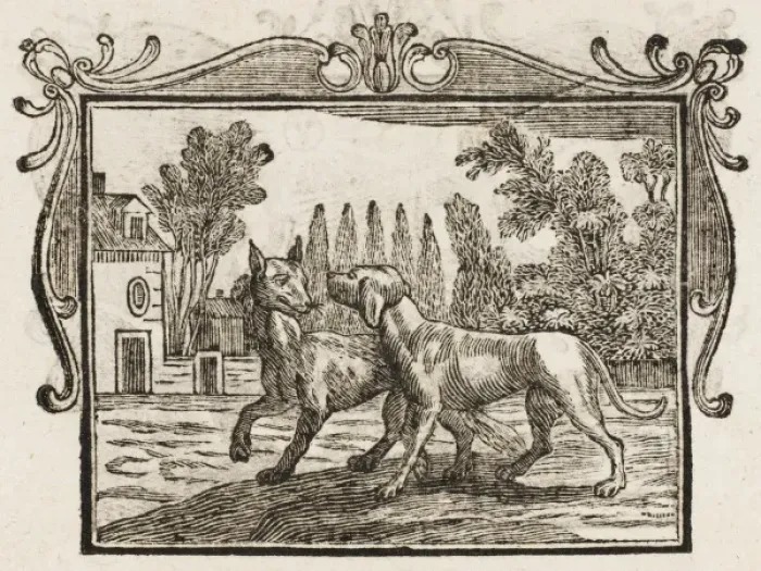 Framed Print : The Wolf & the Mastiff Framed Print : The Wolf & the Mastiff