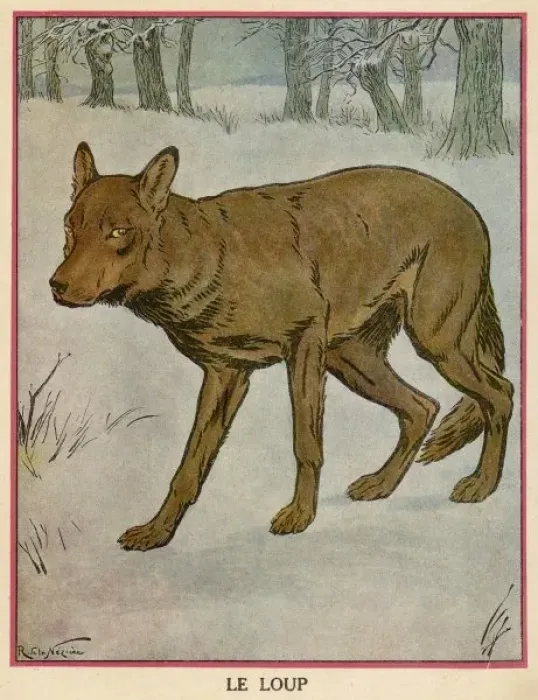 Framed Print : Wolf / Neziere Framed Print : Wolf / Neziere