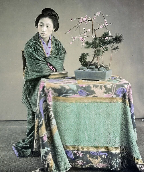 Wolman seated at a table with a bonzai tree, Japan circa 188
