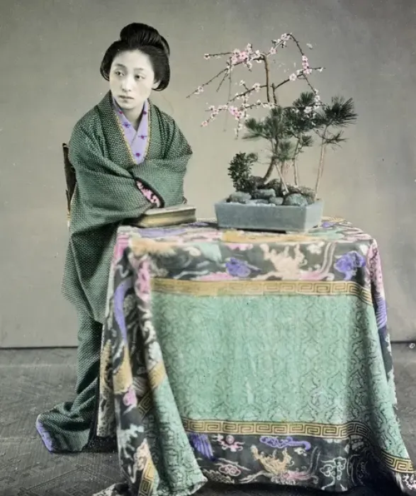 Framed Print : Wolman seated at a table with a bonzai tree, Japan circa 188 Framed Print : Wolman seated at a table with a bonzai tree, Japan circa 188