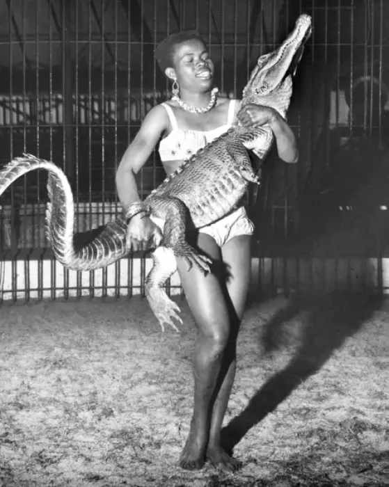 Framed Print : Woman with alligator, Chipperfields Circus Framed Print : Woman with alligator, Chipperfields Circus