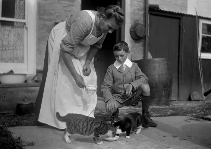 Framed Print : Woman and boy with two cats Framed Print : Woman and boy with two cats
