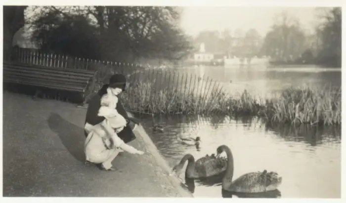 Framed Print : Woman and children feeding swans in a London park Framed Print : Woman and children feeding swans in a London park