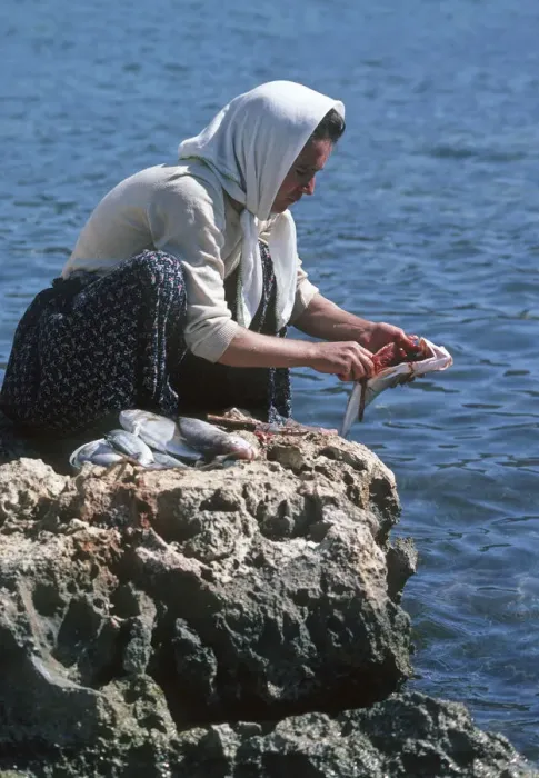 Framed Print : Woman cleaning fish, Turkey Framed Print : Woman cleaning fish, Turkey