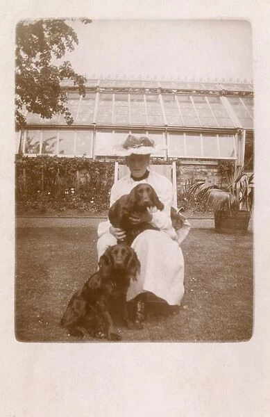 Woman with two Cocker Spaniels