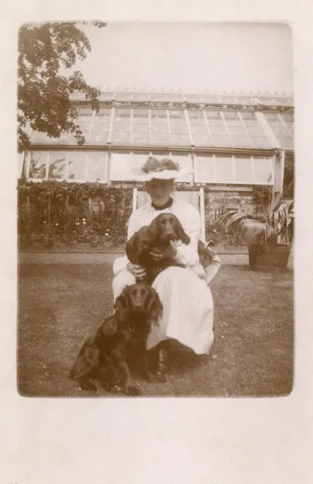 Framed Print : Woman with two Cocker Spaniels Framed Print : Woman with two Cocker Spaniels