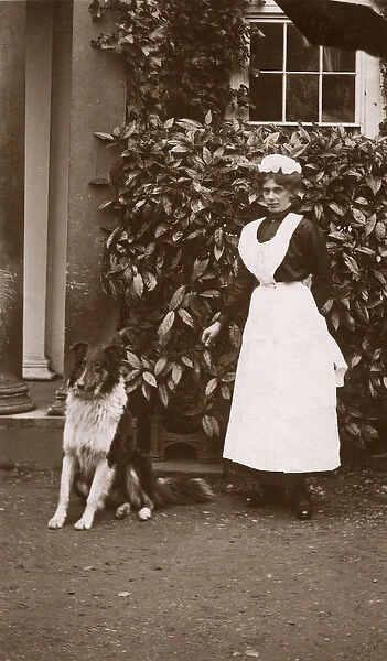 Woman with collie dog in a garden