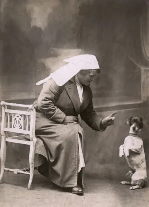 Framed Print : Woman disciplines a Jack Russell Framed Print : Woman disciplines a Jack Russell