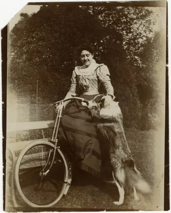 Framed Print : Woman with dog and bicycle in a garden Framed Print : Woman with dog and bicycle in a garden