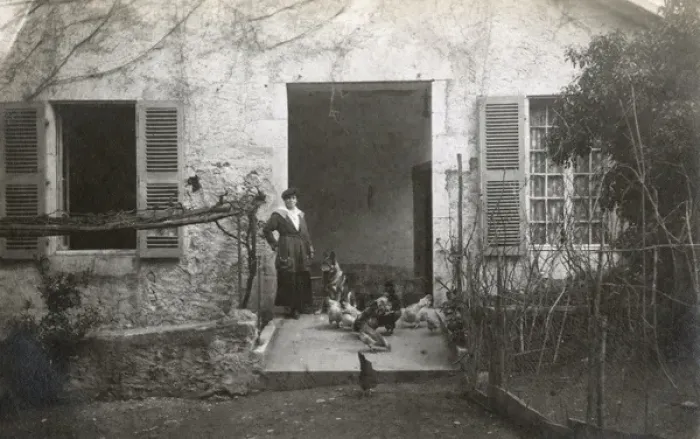 Framed Print : Woman with a dog and chickens in a garden, France Framed Print : Woman with a dog and chickens in a garden, France