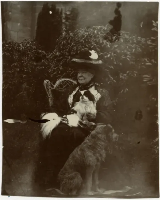 Framed Print : Woman with two dogs in a garden Framed Print : Woman with two dogs in a garden