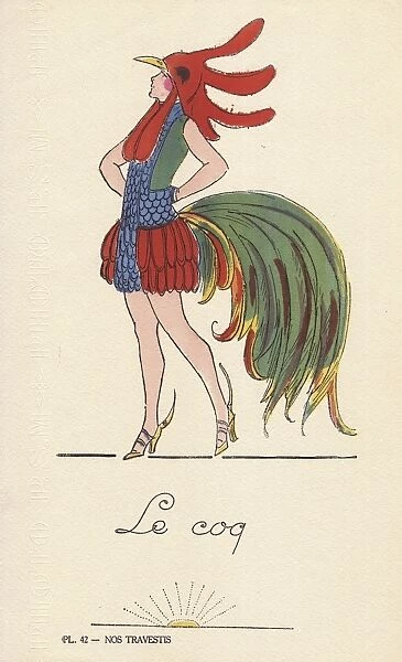 Woman in fancy dress costume as rooster, le coq