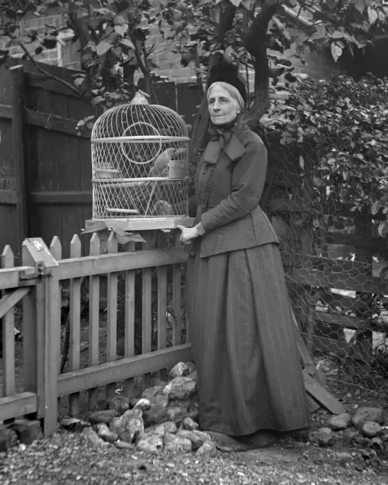 Framed Print : Woman in garden with caged parrot Framed Print : Woman in garden with caged parrot