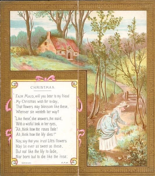 Woman in a garden on a Christmas card