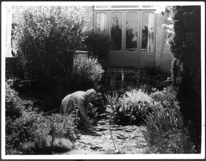 Framed Print : Woman Gardening Framed Print : Woman Gardening