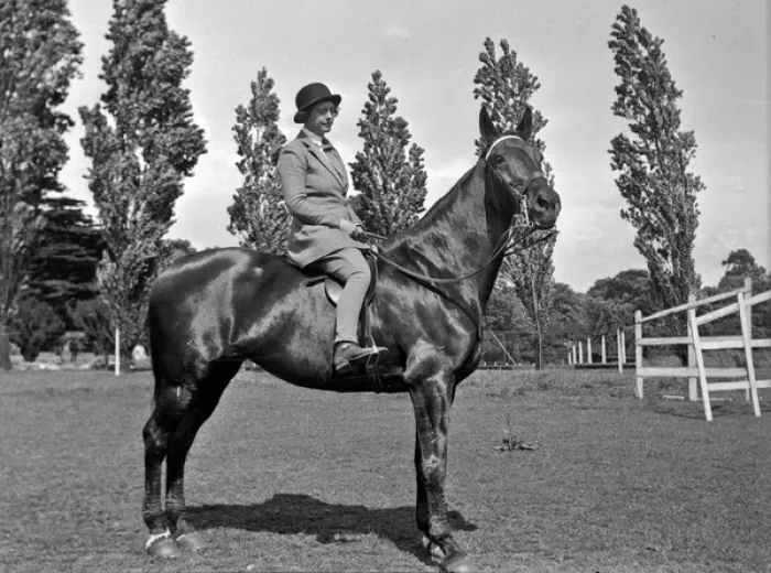 Framed Print : Woman on a horse in a field Framed Print : Woman on a horse in a field