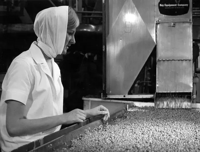 Framed Print : Woman inspecting peas in Birds Eye factory Framed Print : Woman inspecting peas in Birds Eye factory