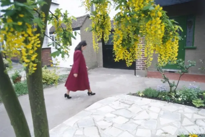 Framed Print : Woman under Laburnum Framed Print : Woman under Laburnum