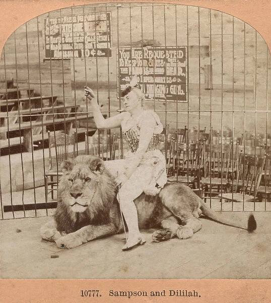 Woman and lion in a cage, New Hampshire, USA